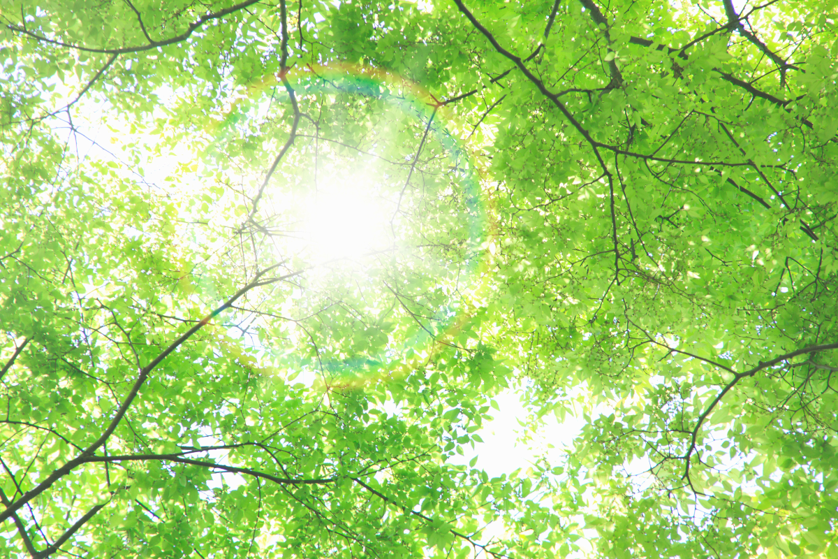 4. 離婚で家をどうするか悩んだときの実践ステップ